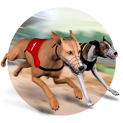 The Race Buddies – You & Your Dog. Virtual Races..